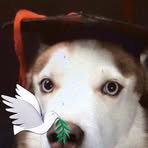 Daisy Eaton Trainor - Facebook