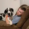 Daisy & Travis - @service_househorse_daisy - TikTok