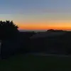 daisytrout_ - @daisytrout_ - TikTok