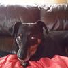 Daisy_trust - @trust_bunnie - TikTok
