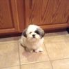 trustinthedaisycrazy - @trustinthedaisycrazy - TikTok