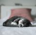 Daisy Tsang - Facebook