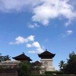 Daisy Tsang - @tsang4018 - Instagram