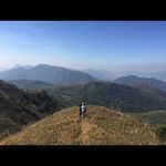 Daisy Tsang - @tsang.daisy - Instagram
