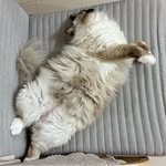 Daisy Tsui - @daisycmtsui - Instagram