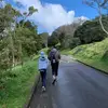 Daisy Tsui - @daisytsui - TikTok