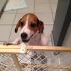 Daisy Tuck - @daisy389592795 - TikTok