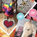Daisytyson - @daisytyson5604 - Instagram