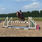 @daisytyson_showjumping - Instagram