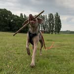 daisy upton - @dupton13 - Instagram