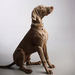 Daisy Upton - @ceaser5326 - Instagram