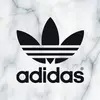 daisyvaca06 - @daisyvaca06 - TikTok