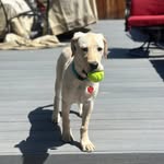 Daisy🌼 Rey Vance - @daisy_and_a_dude - Instagram