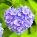 Daisy Vance - Facebook