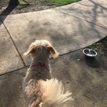 Daisy Vanderpool - @daisy_in_florida - Instagram