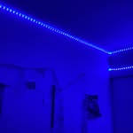 Daisy Vang - @qa1syspams - Instagram