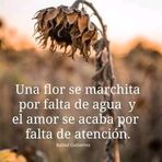 Daisy Vela - Facebook