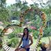 Daisy Villa - Facebook
