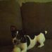Daisy Waggoner - Facebook