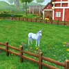 daisywain - @daisy_xoxox.10 - TikTok