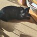 Daisy May Walden - Facebook
