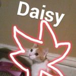 Daisy Monroe Walden-Sievers - @daisy_monroe_walden_sievers - Instagram