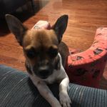 Daisy Walden - @daisy_pup55 - Instagram