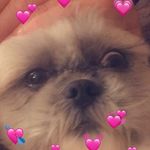 Daisy_ - @_daisy_walker - Instagram