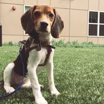 Daisy Wallace - @daisy_nd_confused - Instagram