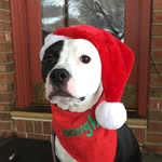 Daisy Mae - @daisy.mae.walls - Instagram
