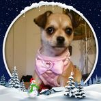 Daisy Walls - Facebook