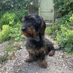 Daisy Walsh - Facebook