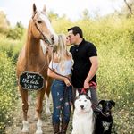 Blue•Zeus•Daisy•Dixie•Donny•Walter - @lyness8pack - Instagram