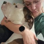 Daisy M. Walter - @petqueen_dynasty - Instagram