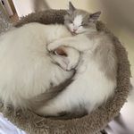 Daisy Wilma and Benny Walter - @daisy_benny_diaries - Instagram