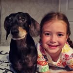 Gemma, Daisy & Walter - @daisyandherdachshund - Instagram