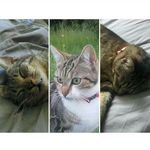 Walter_Daisy_Seblo - @walter_daisy_seblo - Instagram