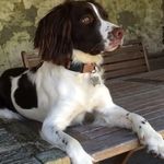 Daisy - @_daisy_weaver_1 - Instagram