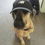 @daisy_weaver - Instagram