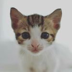 daisyweber - @daisy_do_123 - Instagram