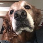 Daisy Weeks - @daisyweeks7 - Instagram