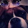 daisy weeks - @_dog_love_321 - TikTok