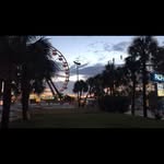 Daisy - @daisy_weird_crazy_ - Instagram