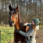 𝓓𝓪𝓲𝓼𝔂 - @daisy_the.welsh - Instagram