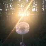 Daisy Welsh - @d.willems72 - Instagram