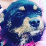 daisy_welsh - @daisy_welsh8 - Instagram