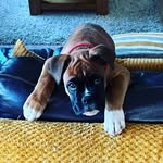 Daisy Welsh - @popcornopps - Instagram