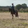 daisy.welshd - @daisy.welshd - TikTok