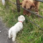 Daisy West - Facebook