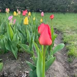 Daisy West - @dai.sy__west - Instagram